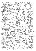 Australian Animals Colour Page Preview