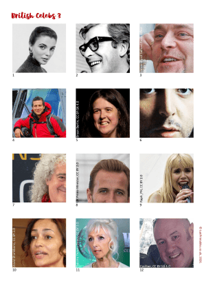British Celebrities Picture Quiz