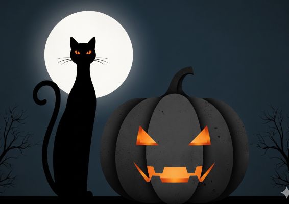 Cat and pumpkin Halloween poster