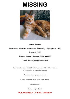 Example Missing Cat Poster