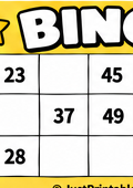 Printable Coloured Bingo Sheet Preview