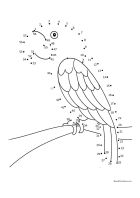 Parrot Dot-to-Dot Worksheet Preview