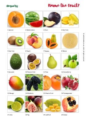 Picture Quiz Answer Sheet Preview