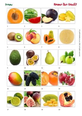 Printable Picture Quiz Sheet Preview