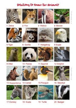 Kids Animals Picture Quiz Answer Sheet Preview