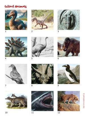 Printable Picture Quiz Sheet Preview
