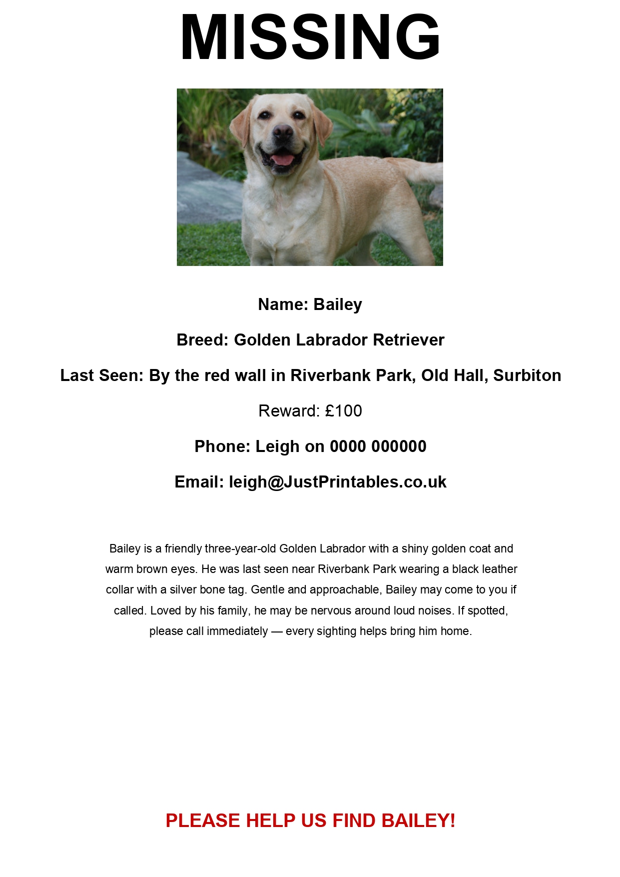 Example Missing Dog Poster