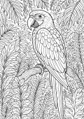 Parrot Colourful Page Preview