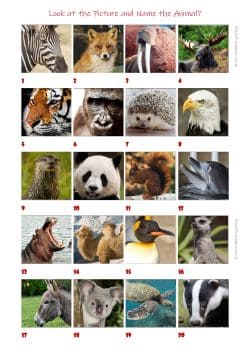 Kids picture quiz
