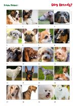 Printable Picture Quiz Sheet Preview