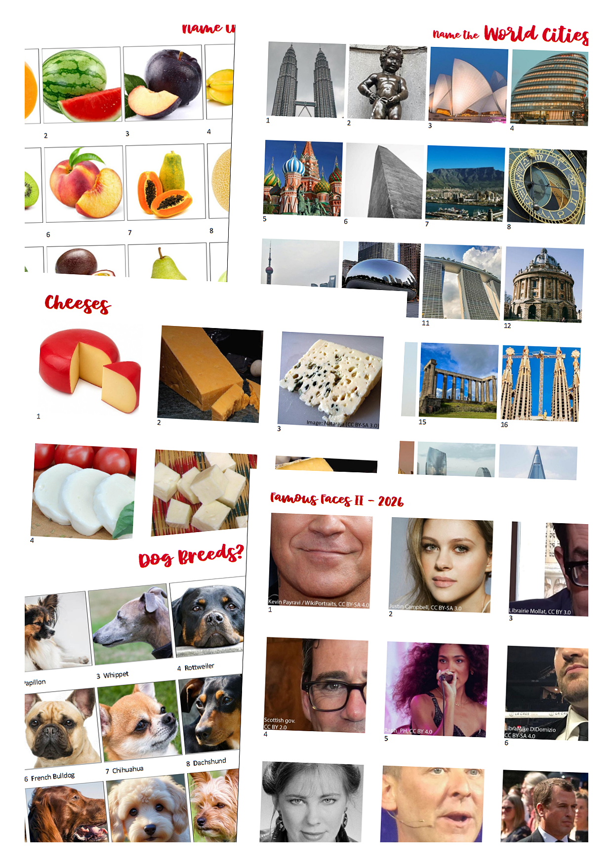 Free printable picture quizzes