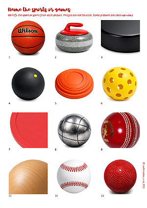Printable Picture Quiz Sheet Preview